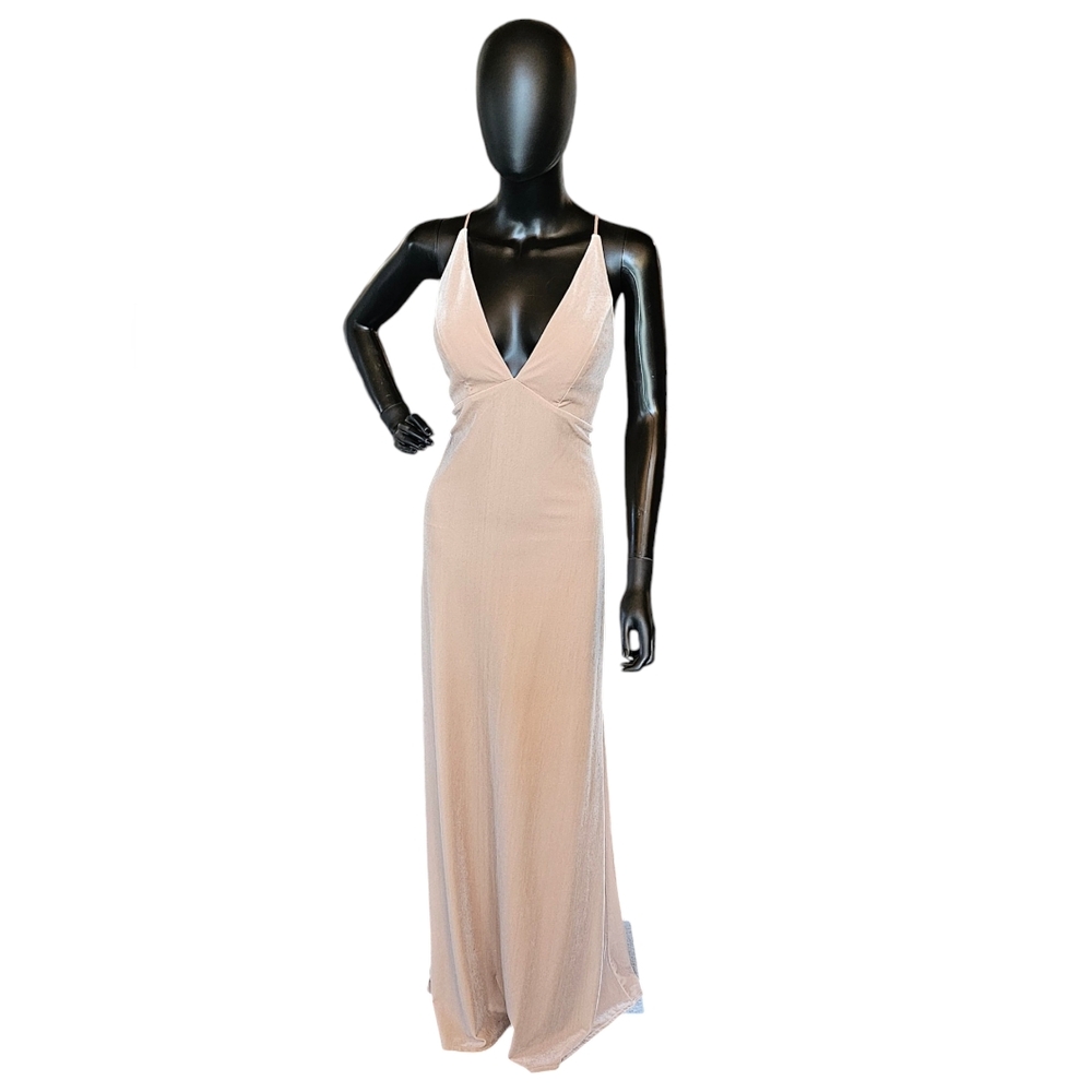 Jenny Yoo Prosecco Blush Velvet Gown